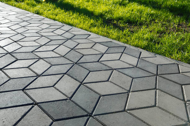 Best Residential Paver Driveway  in Thief River Falls, MN